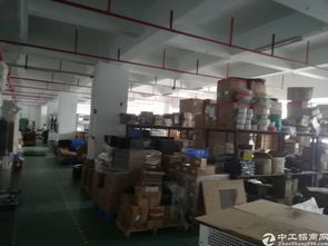 福永鳳凰精品廠房招租 900平方米優質空間，清洗刷行業優選