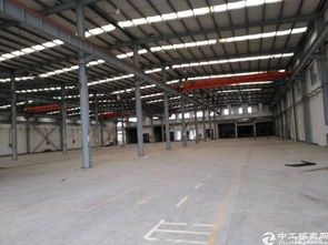 搶占先機！廣州新塘全新高臺廠房火爆招租，打造專業清洗刷生產新高地