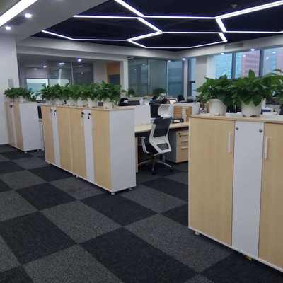 南山區(qū)綠植租擺服務(wù) 專業(yè)植物租賃廠家，為辦公與商業(yè)空間注入自然活力